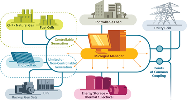 Microgrid Structuring